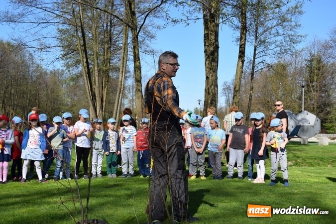 Zdjęcie w galerii na portalu naszwodzislaw.com: Akcja sadzenia drzewek na 100-lecie odzyskania niepodległości w Gminie Mszana. ZDJĘCIA  wiadomości z regionu