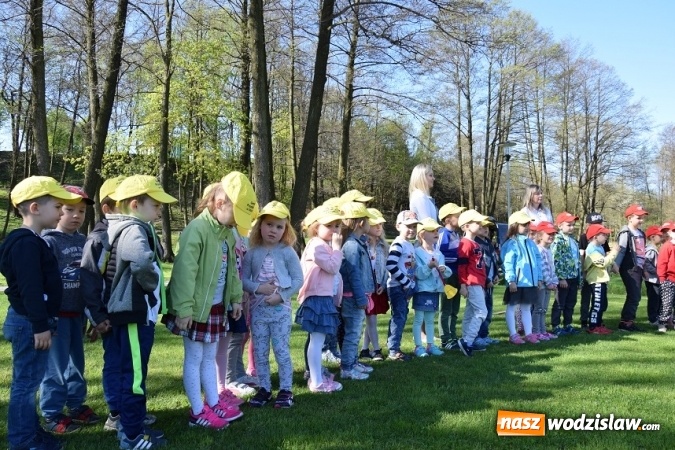 Zdjęcie w galerii na portalu naszwodzislaw.com: Akcja sadzenia drzewek na 100-lecie odzyskania niepodległości w Gminie Mszana. ZDJĘCIA  wiadomości z regionu