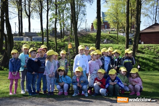 Zdjęcie w galerii na portalu naszwodzislaw.com: Akcja sadzenia drzewek na 100-lecie odzyskania niepodległości w Gminie Mszana. ZDJĘCIA  wiadomości z regionu