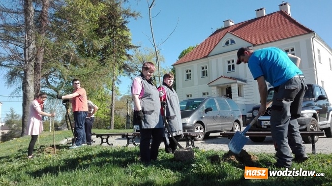 Zdjęcie w galerii na portalu naszwodzislaw.com: Akcja sadzenia drzewek na 100-lecie odzyskania niepodległości w Gminie Mszana. ZDJĘCIA  wiadomości z regionu