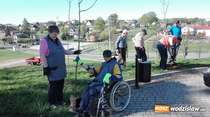 Zdjęcie w galerii na portalu naszwodzislaw.com: Akcja sadzenia drzewek na 100-lecie odzyskania niepodległości w Gminie Mszana. ZDJĘCIA  wiadomości z regionu