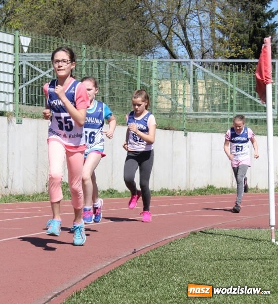 Zdjęcie w galerii na portalu naszwodzislaw.com: UKS Strzał Wodzisław: Młodzi biathloniści znowu z medalami  wiadomości z regionu