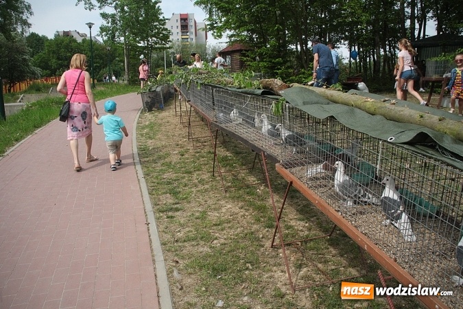 Zdjęcie w galerii na portalu naszwodzislaw.com: Majówkowy pokaz zwierząt w Rodzinnym Parku Rozrywki. ZDJĘCIA  wiadomości z regionu