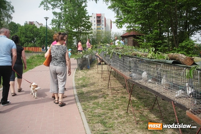 Zdjęcie w galerii na portalu naszwodzislaw.com: Majówkowy pokaz zwierząt w Rodzinnym Parku Rozrywki. ZDJĘCIA  wiadomości z regionu