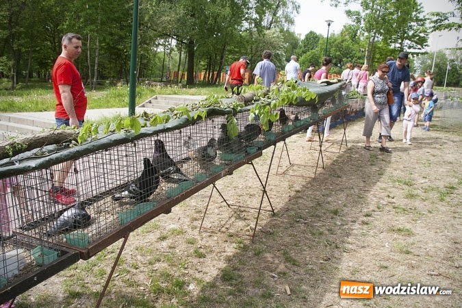 Zdjęcie w galerii na portalu naszwodzislaw.com: Majówkowy pokaz zwierząt w Rodzinnym Parku Rozrywki. ZDJĘCIA  wiadomości z regionu