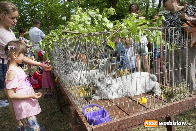 Zdjęcie w galerii na portalu naszwodzislaw.com: Majówkowy pokaz zwierząt w Rodzinnym Parku Rozrywki. ZDJĘCIA  wiadomości z regionu