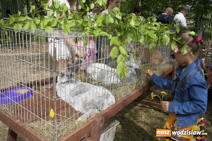 Zdjęcie w galerii na portalu naszwodzislaw.com: Majówkowy pokaz zwierząt w Rodzinnym Parku Rozrywki. ZDJĘCIA  wiadomości z regionu