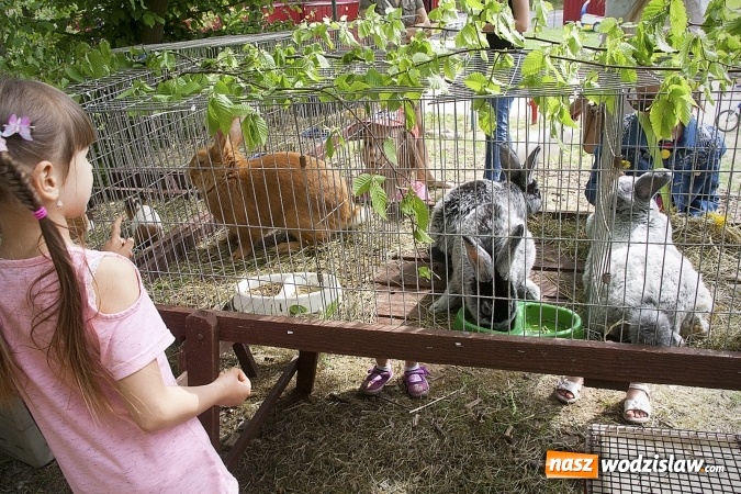Zdjęcie w galerii na portalu naszwodzislaw.com: Majówkowy pokaz zwierząt w Rodzinnym Parku Rozrywki. ZDJĘCIA  wiadomości z regionu