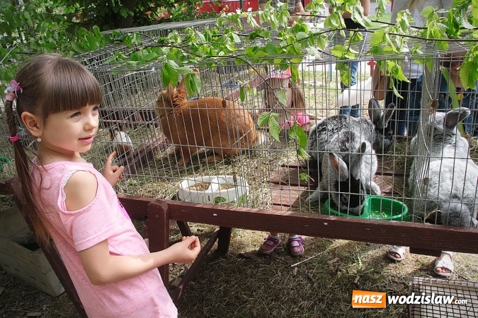 Zdjęcie w galerii na portalu naszwodzislaw.com: Majówkowy pokaz zwierząt w Rodzinnym Parku Rozrywki. ZDJĘCIA  wiadomości z regionu