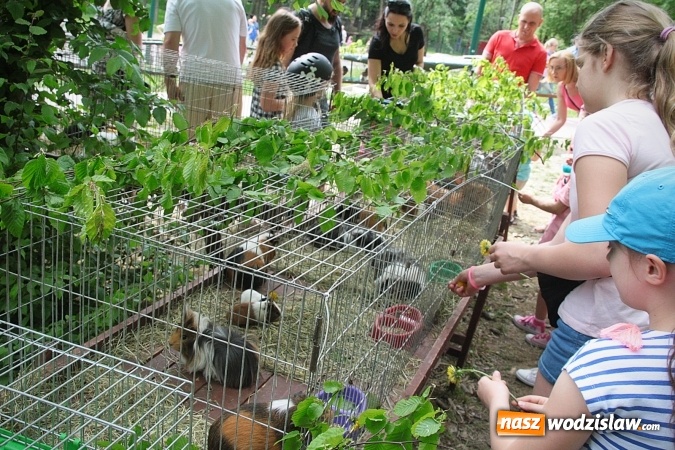 Zdjęcie w galerii na portalu naszwodzislaw.com: Majówkowy pokaz zwierząt w Rodzinnym Parku Rozrywki. ZDJĘCIA  wiadomości z regionu