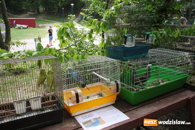Zdjęcie w galerii na portalu naszwodzislaw.com: Majówkowy pokaz zwierząt w Rodzinnym Parku Rozrywki. ZDJĘCIA  wiadomości z regionu