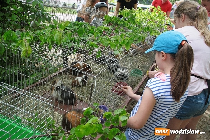 Zdjęcie w galerii na portalu naszwodzislaw.com: Majówkowy pokaz zwierząt w Rodzinnym Parku Rozrywki. ZDJĘCIA  wiadomości z regionu