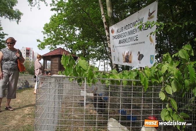 Zdjęcie w galerii na portalu naszwodzislaw.com: Majówkowy pokaz zwierząt w Rodzinnym Parku Rozrywki. ZDJĘCIA  wiadomości z regionu