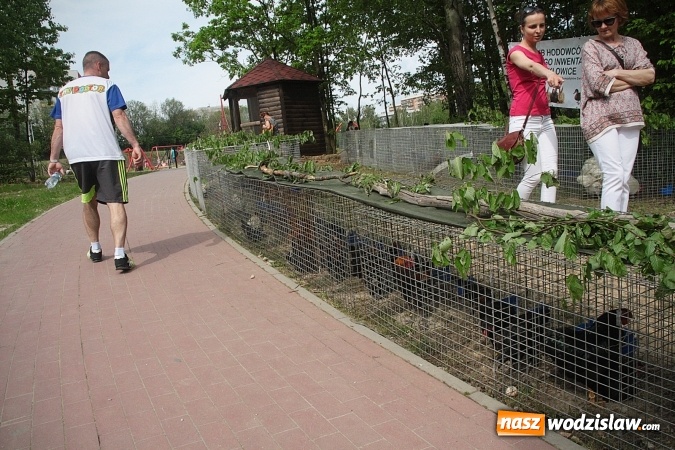 Zdjęcie w galerii na portalu naszwodzislaw.com: Majówkowy pokaz zwierząt w Rodzinnym Parku Rozrywki. ZDJĘCIA  wiadomości z regionu