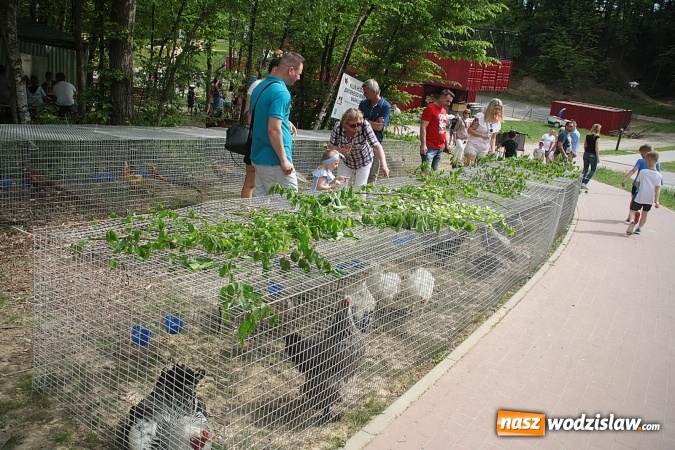 Zdjęcie w galerii na portalu naszwodzislaw.com: Majówkowy pokaz zwierząt w Rodzinnym Parku Rozrywki. ZDJĘCIA  wiadomości z regionu