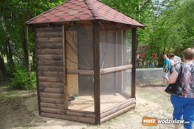 Zdjęcie w galerii na portalu naszwodzislaw.com: W Wodzisławiu powstała ptaszarnia. FOTO wiadomości z regionu