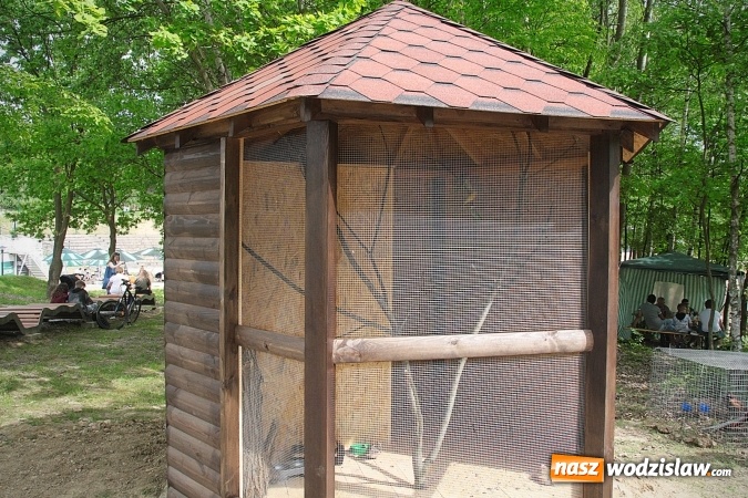 Zdjęcie w galerii na portalu naszwodzislaw.com: W Wodzisławiu powstała ptaszarnia. FOTO wiadomości z regionu