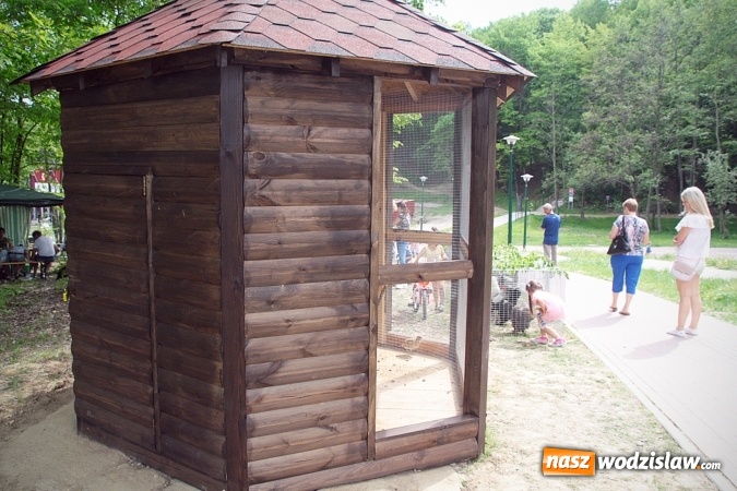 Zdjęcie w galerii na portalu naszwodzislaw.com: W Wodzisławiu powstała ptaszarnia. FOTO wiadomości z regionu