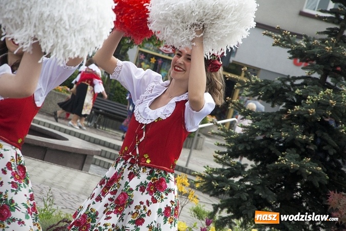 Zdjęcie w galerii na portalu naszwodzislaw.com: Święto Flagi w Rydułtowach. ZDJĘCIA  wiadomości z regionu