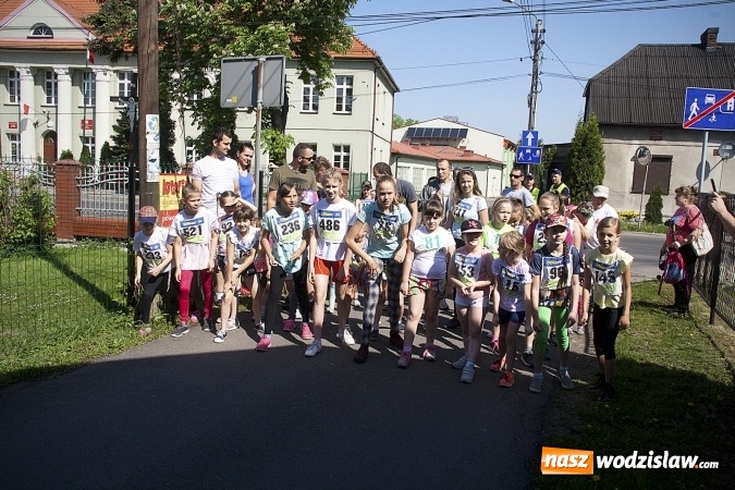 Zdjęcie w galerii na portalu naszwodzislaw.com: Po raz XXIII zorganizowano Radliński Bieg Ekologiczny. ZDJECIA  wiadomości z regionu