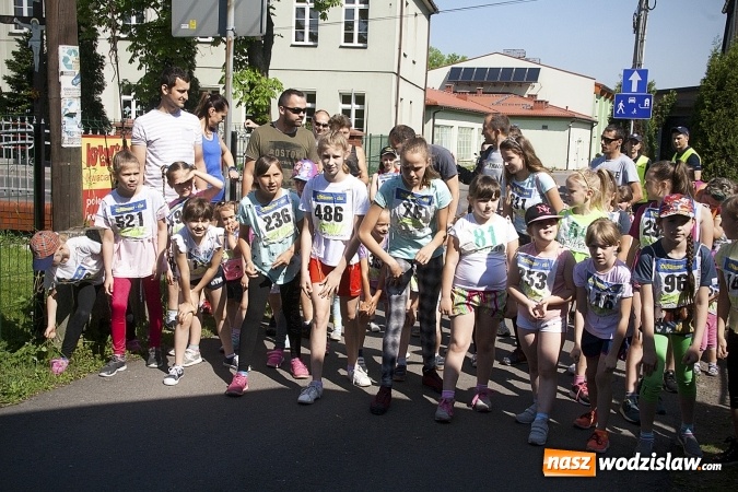 Zdjęcie w galerii na portalu naszwodzislaw.com: Po raz XXIII zorganizowano Radliński Bieg Ekologiczny. ZDJECIA  wiadomości z regionu