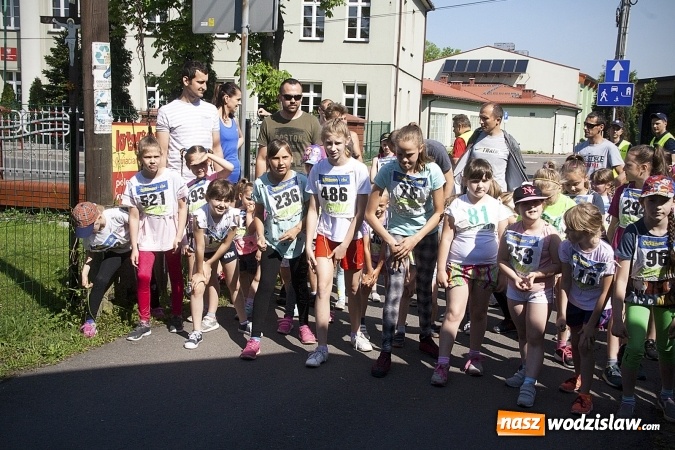 Zdjęcie w galerii na portalu naszwodzislaw.com: Po raz XXIII zorganizowano Radliński Bieg Ekologiczny. ZDJECIA  wiadomości z regionu