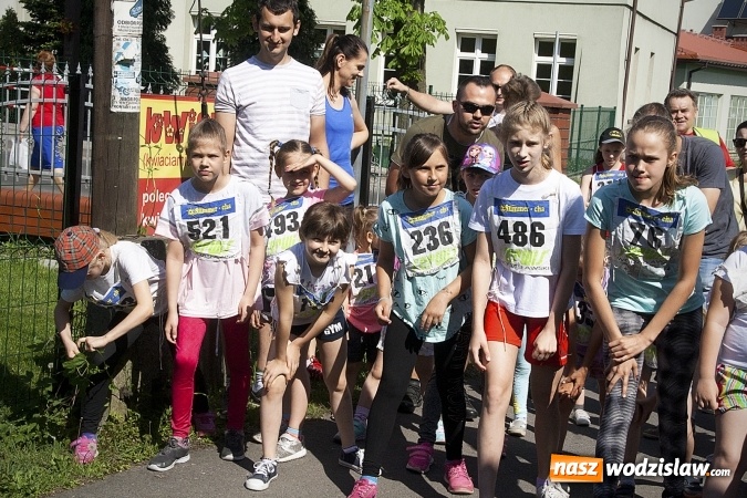 Zdjęcie w galerii na portalu naszwodzislaw.com: Po raz XXIII zorganizowano Radliński Bieg Ekologiczny. ZDJECIA  wiadomości z regionu