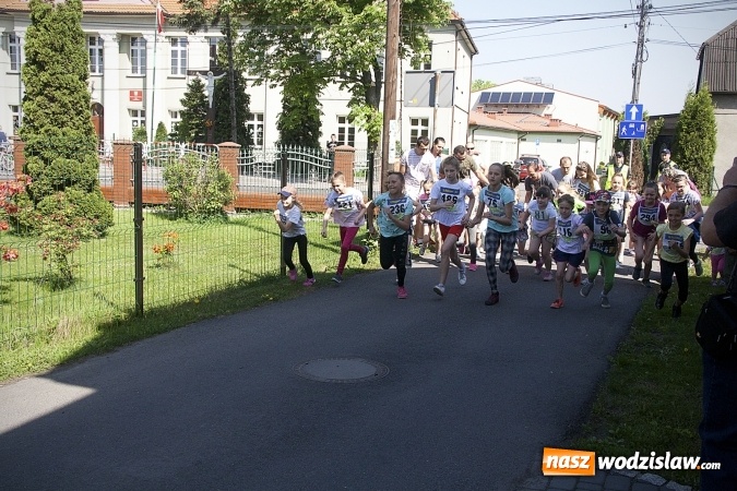 Zdjęcie w galerii na portalu naszwodzislaw.com: Po raz XXIII zorganizowano Radliński Bieg Ekologiczny. ZDJECIA  wiadomości z regionu