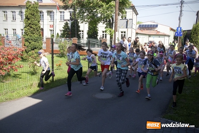 Zdjęcie w galerii na portalu naszwodzislaw.com: Po raz XXIII zorganizowano Radliński Bieg Ekologiczny. ZDJECIA  wiadomości z regionu