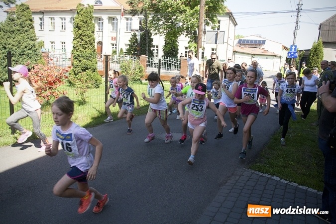 Zdjęcie w galerii na portalu naszwodzislaw.com: Po raz XXIII zorganizowano Radliński Bieg Ekologiczny. ZDJECIA  wiadomości z regionu