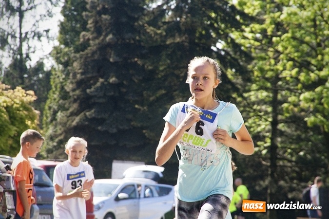 Zdjęcie w galerii na portalu naszwodzislaw.com: Po raz XXIII zorganizowano Radliński Bieg Ekologiczny. ZDJECIA  wiadomości z regionu