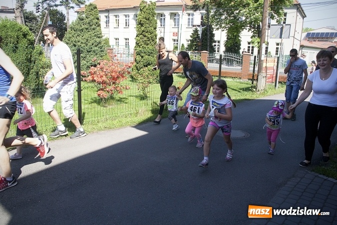 Zdjęcie w galerii na portalu naszwodzislaw.com: Po raz XXIII zorganizowano Radliński Bieg Ekologiczny. ZDJECIA  wiadomości z regionu