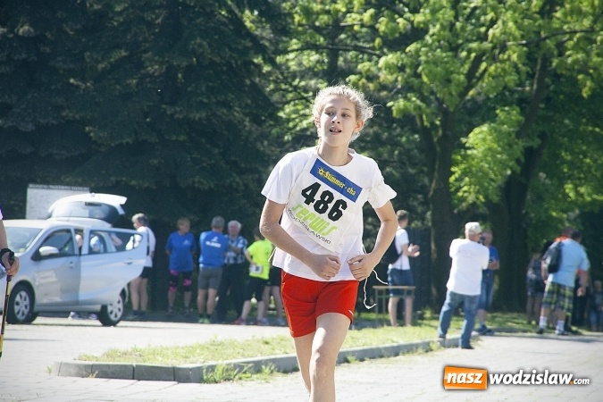 Zdjęcie w galerii na portalu naszwodzislaw.com: Po raz XXIII zorganizowano Radliński Bieg Ekologiczny. ZDJECIA  wiadomości z regionu