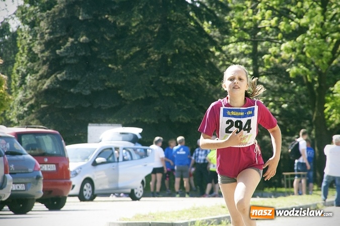 Zdjęcie w galerii na portalu naszwodzislaw.com: Po raz XXIII zorganizowano Radliński Bieg Ekologiczny. ZDJECIA  wiadomości z regionu