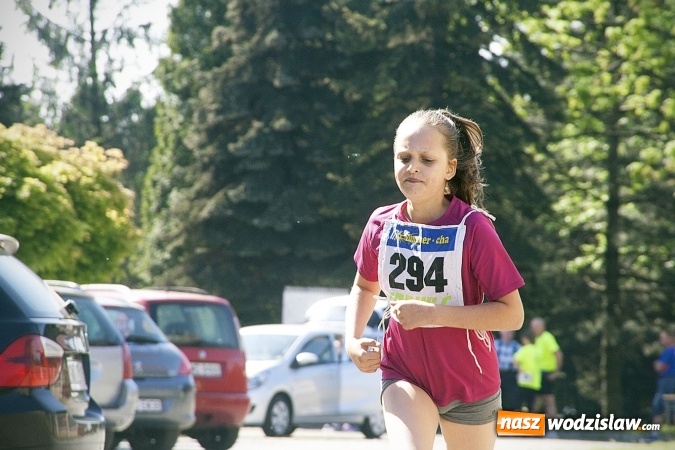 Zdjęcie w galerii na portalu naszwodzislaw.com: Po raz XXIII zorganizowano Radliński Bieg Ekologiczny. ZDJECIA  wiadomości z regionu