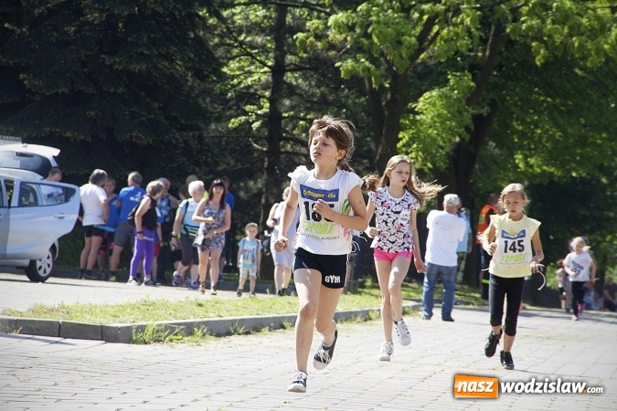 Zdjęcie w galerii na portalu naszwodzislaw.com: Po raz XXIII zorganizowano Radliński Bieg Ekologiczny. ZDJECIA  wiadomości z regionu