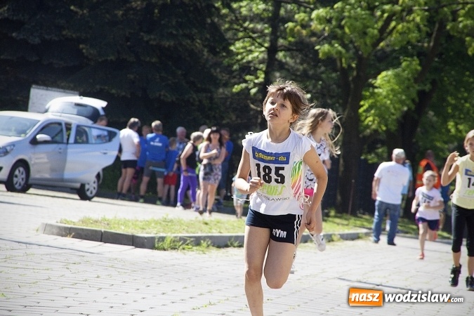 Zdjęcie w galerii na portalu naszwodzislaw.com: Po raz XXIII zorganizowano Radliński Bieg Ekologiczny. ZDJECIA  wiadomości z regionu