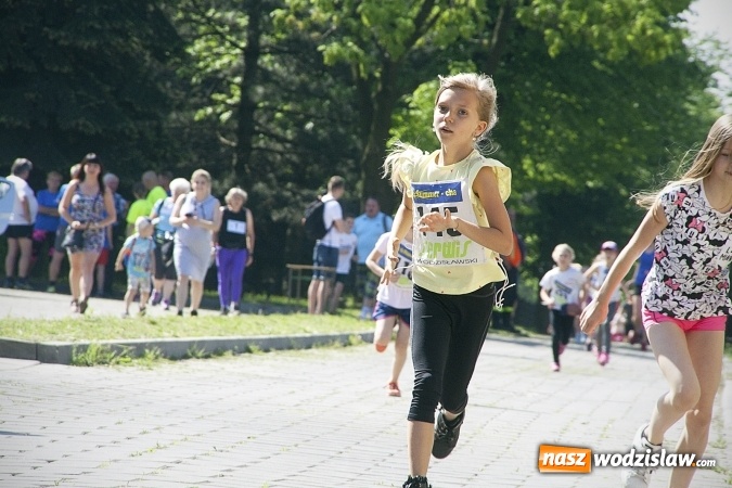 Zdjęcie w galerii na portalu naszwodzislaw.com: Po raz XXIII zorganizowano Radliński Bieg Ekologiczny. ZDJECIA  wiadomości z regionu