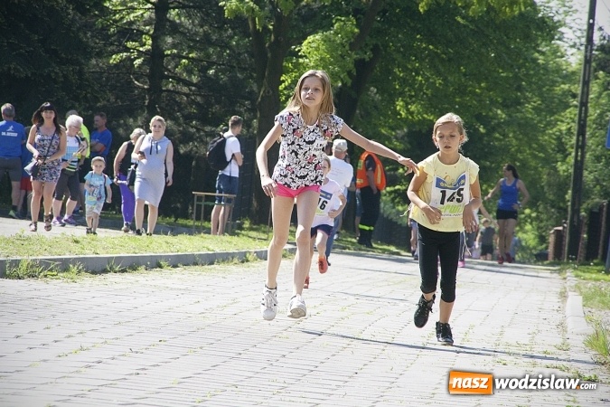 Zdjęcie w galerii na portalu naszwodzislaw.com: Po raz XXIII zorganizowano Radliński Bieg Ekologiczny. ZDJECIA  wiadomości z regionu