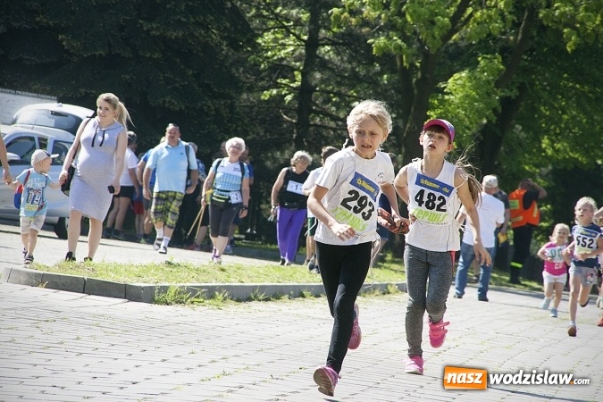 Zdjęcie w galerii na portalu naszwodzislaw.com: Po raz XXIII zorganizowano Radliński Bieg Ekologiczny. ZDJECIA  wiadomości z regionu