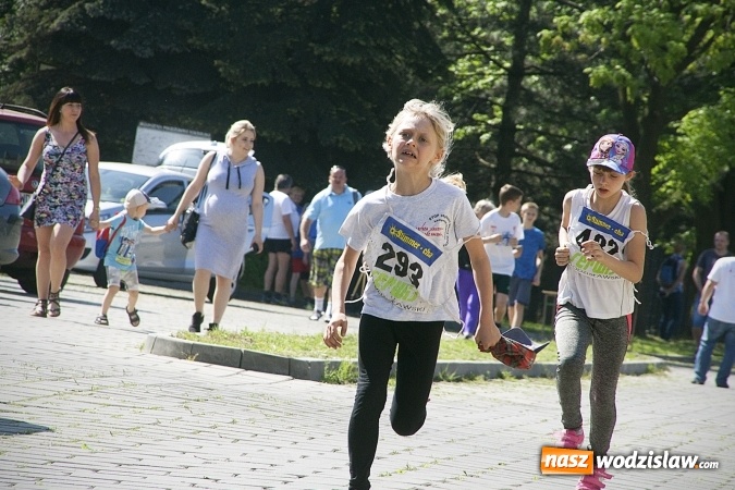 Zdjęcie w galerii na portalu naszwodzislaw.com: Po raz XXIII zorganizowano Radliński Bieg Ekologiczny. ZDJECIA  wiadomości z regionu