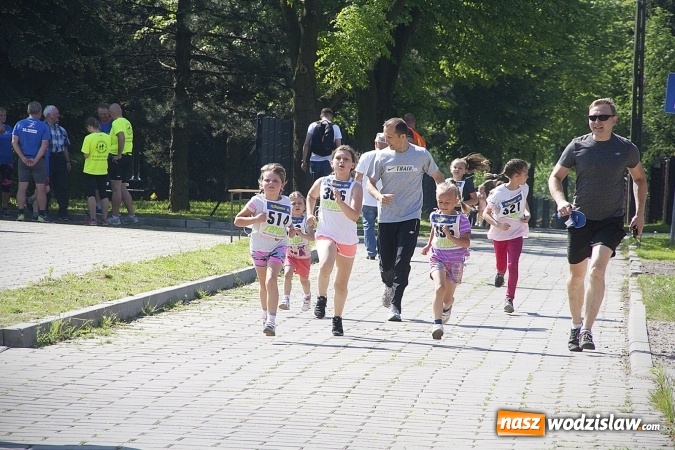 Zdjęcie w galerii na portalu naszwodzislaw.com: Po raz XXIII zorganizowano Radliński Bieg Ekologiczny. ZDJECIA  wiadomości z regionu