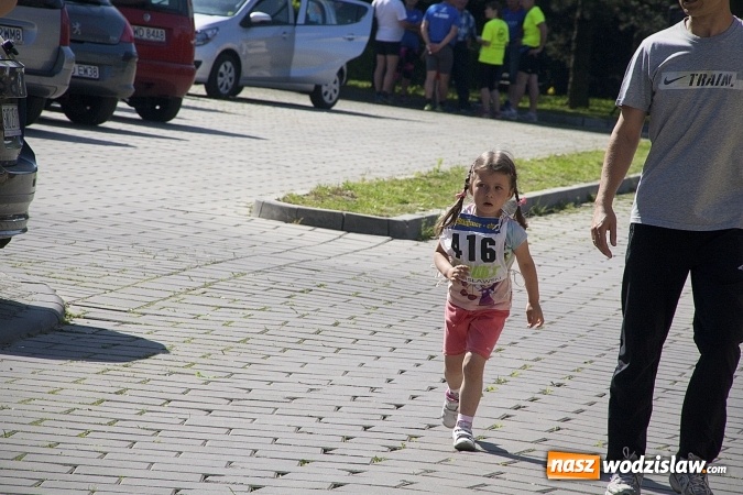 Zdjęcie w galerii na portalu naszwodzislaw.com: Po raz XXIII zorganizowano Radliński Bieg Ekologiczny. ZDJECIA  wiadomości z regionu