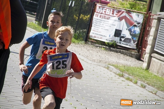 Zdjęcie w galerii na portalu naszwodzislaw.com: Po raz XXIII zorganizowano Radliński Bieg Ekologiczny. ZDJECIA  wiadomości z regionu