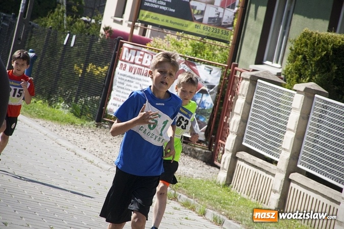 Zdjęcie w galerii na portalu naszwodzislaw.com: Po raz XXIII zorganizowano Radliński Bieg Ekologiczny. ZDJECIA  wiadomości z regionu