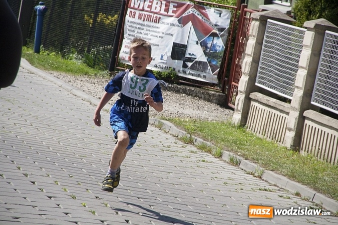 Zdjęcie w galerii na portalu naszwodzislaw.com: Po raz XXIII zorganizowano Radliński Bieg Ekologiczny. ZDJECIA  wiadomości z regionu