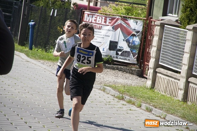 Zdjęcie w galerii na portalu naszwodzislaw.com: Po raz XXIII zorganizowano Radliński Bieg Ekologiczny. ZDJECIA  wiadomości z regionu