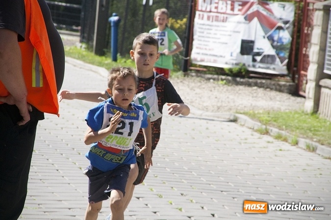 Zdjęcie w galerii na portalu naszwodzislaw.com: Po raz XXIII zorganizowano Radliński Bieg Ekologiczny. ZDJECIA  wiadomości z regionu