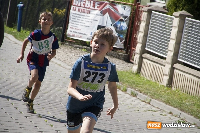 Zdjęcie w galerii na portalu naszwodzislaw.com: Po raz XXIII zorganizowano Radliński Bieg Ekologiczny. ZDJECIA  wiadomości z regionu