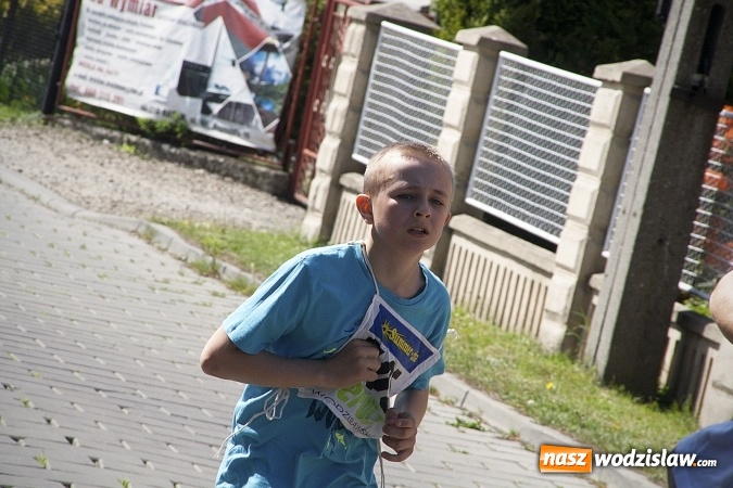 Zdjęcie w galerii na portalu naszwodzislaw.com: Po raz XXIII zorganizowano Radliński Bieg Ekologiczny. ZDJECIA  wiadomości z regionu